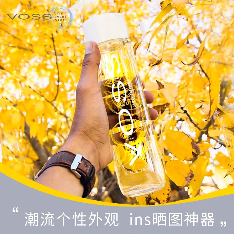 挪威原装进口 芙丝(VOSS)柠檬黄瓜味苏打气泡水饮料 375ml*12瓶(玻璃瓶) 整箱装