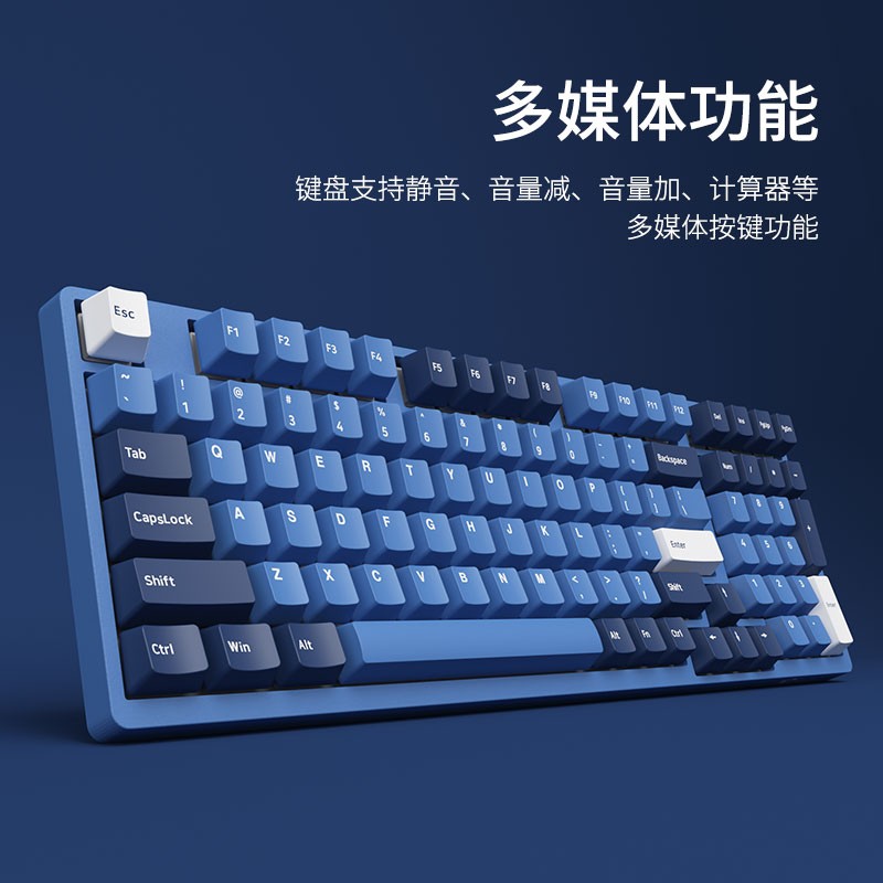 AKKO 3098 DS 海洋之星 机械键盘 有线键盘 游戏键盘 电竞 98键 全尺寸 无光 吃鸡键盘 TTC金粉轴