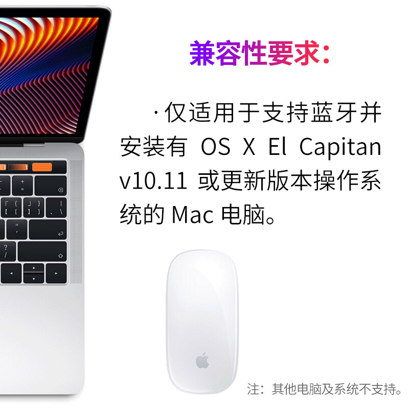 Apple苹果原装鼠标2021年新款无线蓝牙妙控鼠标蓝牙Magic Mouse 妙控鼠标 2021年款【内含编织式USB-C转闪电连接线】