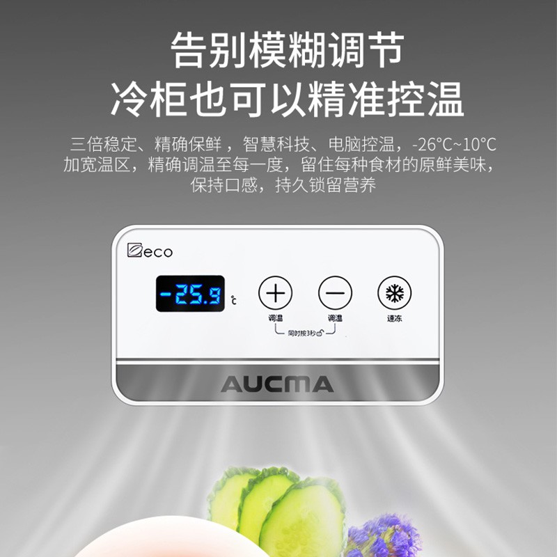 澳柯玛（AUCMA）143升智能冷柜 电脑控温 家用商用单箱变温冰柜 母乳小冰箱 BC/BD-143DNE