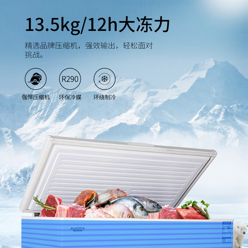 澳柯玛（AUCMA）323升卧式家用商用大容量冰柜 冷藏冷冻转换冷柜 单箱变温顶开冰箱  以旧换新 BC/BD-323NE