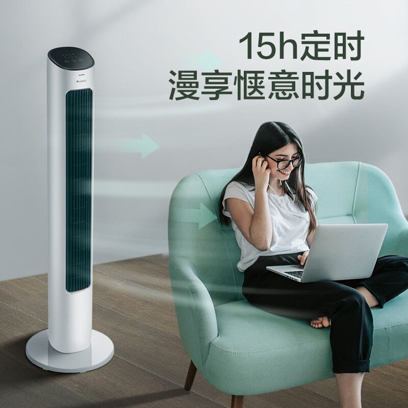 格力（GREE）遙控電風扇節(jié)能風扇家用低噪塔式電扇高顏值塔扇風扇 (FL-08X61Bg)