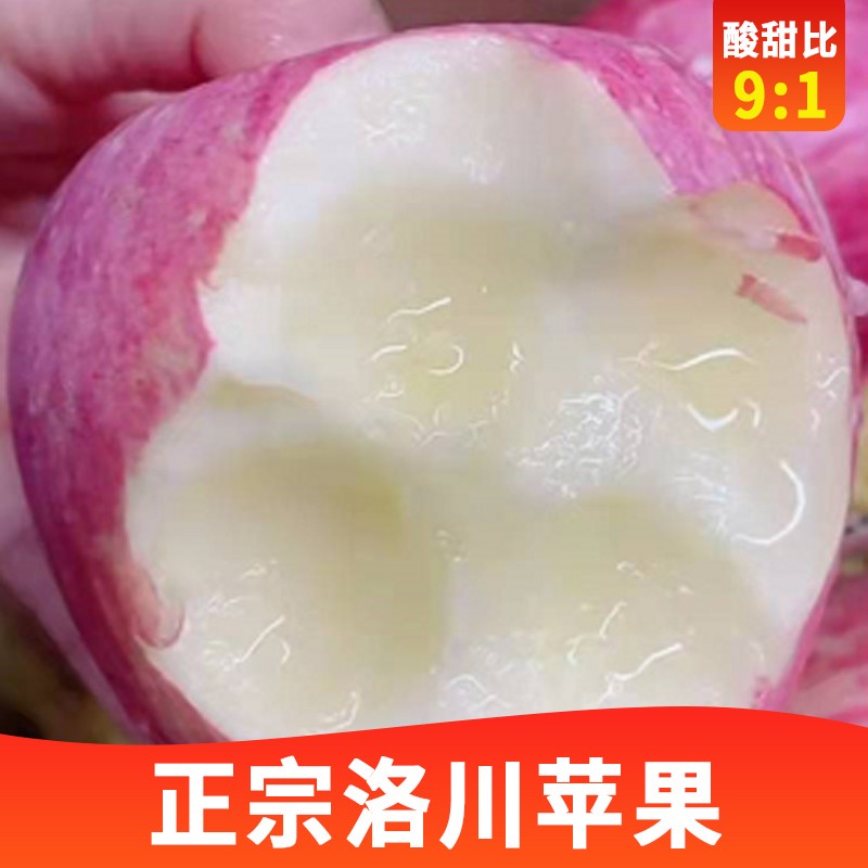 正宗陕西洛川红富士苹果脆甜多汁冰糖心时令新鲜水果生鲜苹果礼盒 大果带箱10斤 80-85mm