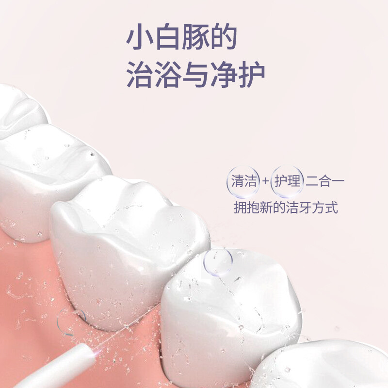 博皓（prooral）冲牙器/洗牙器/水牙线/洁牙器 便携式设计 5002 晶莹透 USB版