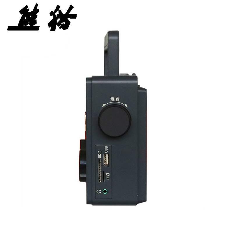 熊猫（panda）T-09 全波段三波段插卡式（USB SD TF卡)收音机播放器 老人插卡音响 半导体大收音机