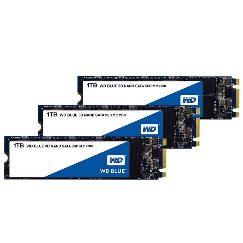 西部数据（WD) 1T SSD固态硬盘 M.2接口 Blue系列 3D技术 高速读写 五年质保