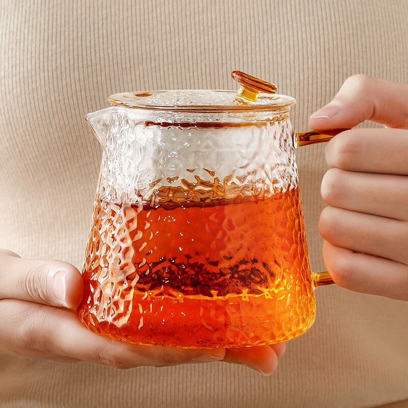 忆壶茶 YIHUTEA 茶壶玻璃茶具耐高温茶水分离泡茶杯烧水煮茶壶套装500ml