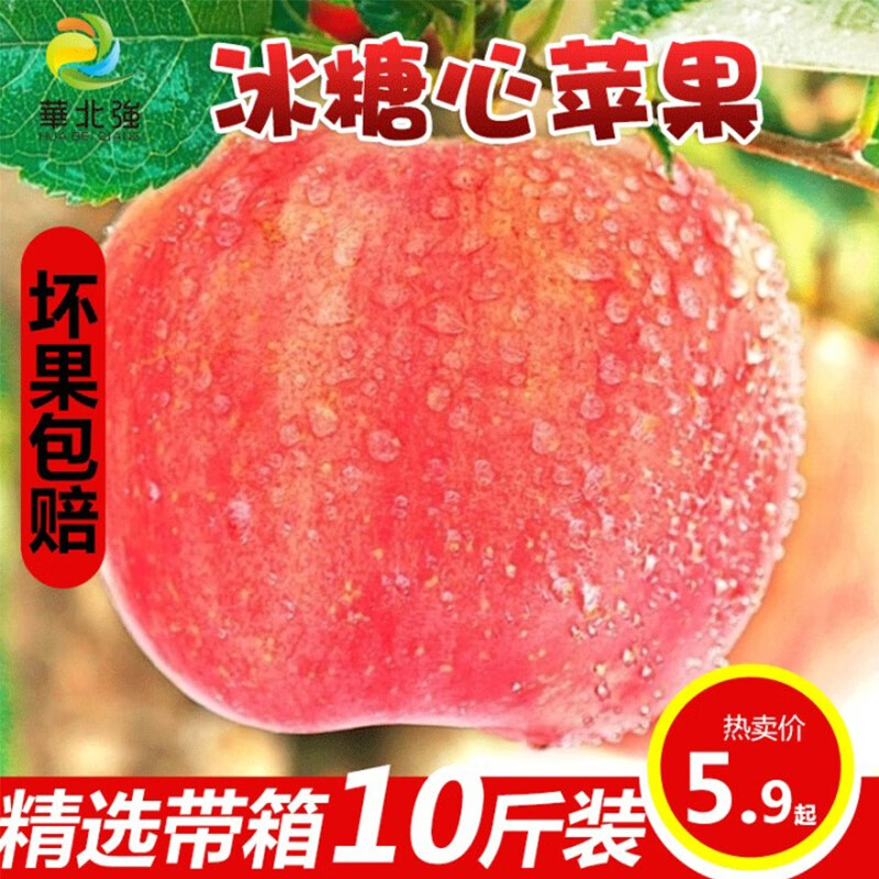【5月低价拉新】山西红富士苹果脆甜多汁应季水果大果装当季苹果5斤 1斤装65-70mm