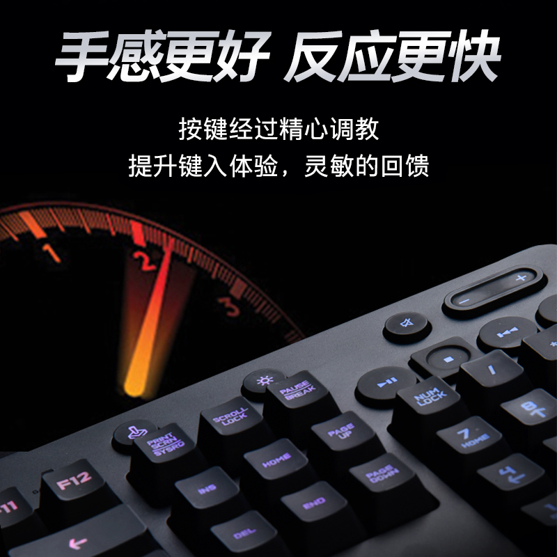罗技（G）G213 机械手感键盘 电竞游戏有线键盘 RGB 全尺寸薄膜数字键盘 罗技G213游戏键盘