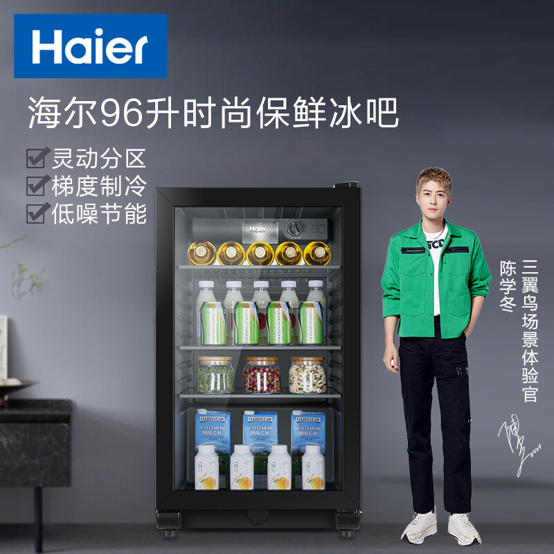 海尔（Haier）家用客厅办公室小型冰吧 水果茶叶红酒饮料保鲜柜客厅冰箱DS096A