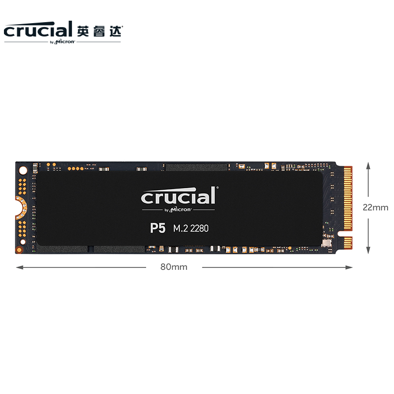 英睿达（Crucial）500GB SSD固态硬盘 M.2接口(NVMe协议) P5系列 游戏高速性能 美光原厂出品
