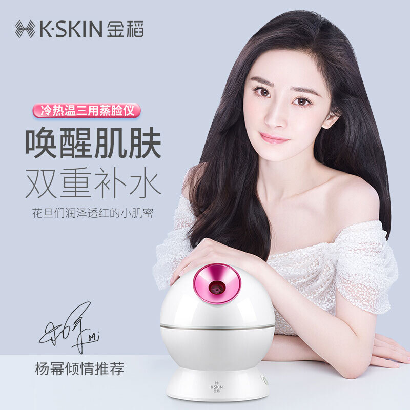 金稻（K-SKIN）美容器 蒸脸器 美容仪 冷热喷 纳米离子 喷雾补水仪 面膜搭档 蒸脸仪 KD23313 白色