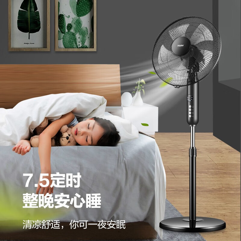 海爾（Haier）電風(fēng)扇家用落地扇輕音風(fēng)扇大風(fēng)量遠(yuǎn)距客廳搖頭定時(shí)電扇學(xué)生宿舍立式五葉扇工業(yè)扇 遙控?fù)u頭定時(shí)黑色FSY3510B