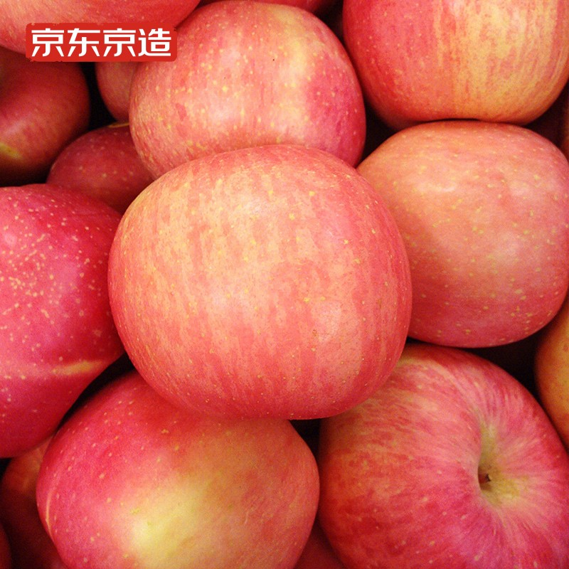 京东京造 星果乐 特级烟台红富士苹果5斤 单果约240g+ 一级果 单果约85mm+ 水晶红富士 新鲜水果
