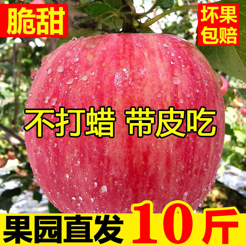2021新鲜陕西脆甜高原红富士苹果当季应季新鲜水果5/10斤 带箱9.7-10斤大果(优选精品)