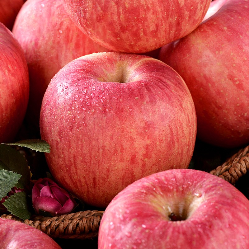 山东烟台红富士苹果苹果新鲜苹果生鲜时令水果生鲜当季栖霞苹果10斤装整箱 带箱10斤一级大果 80-85#