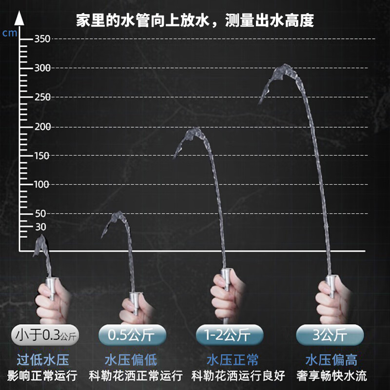 科勒（KOHLER）花灑噴頭 手持花灑頭K-98220T-CP翠思單功能