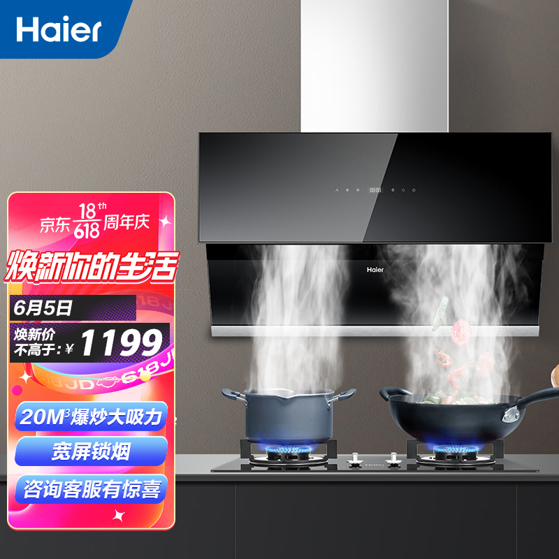 海尔（Haier）抽油烟机家用 吸油烟机 宽屏拢烟 20立方大吸力 一级能效 侧吸油烟机 CXW-219-E900C10
