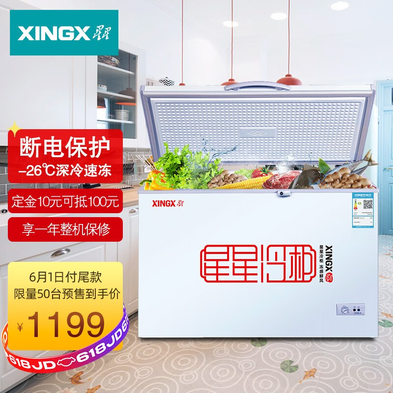 星星（XINGX） 305升 商用卧式冰柜 单温单箱冰箱 冷藏冷冻转换冷柜 安全门锁 顶开门 BD/BC-305E