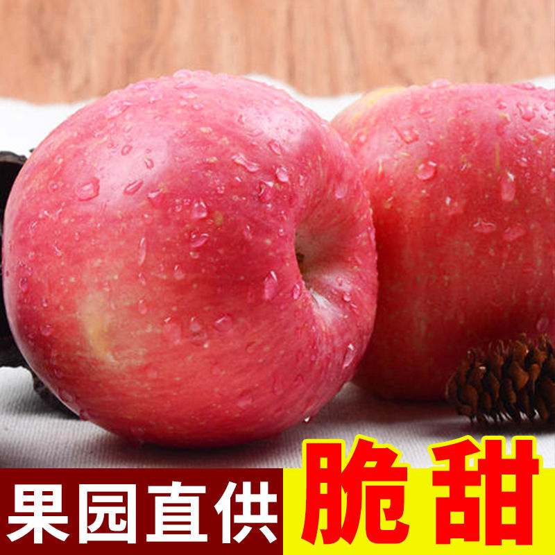 【炳旺升】正宗果园10斤红富士苹果当季新鲜水果不打蜡带箱3/5斤整箱 3斤体验