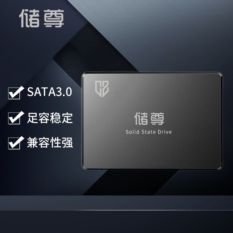 储尊（CZ）512GB SSD固态硬盘 SATA3.0接口 CS101电脑升级