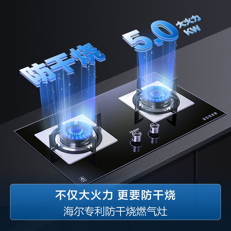 海尔（Haier）燃气灶 智能防干烧 5.0KW大火力 一级能效 瞬燃点火 台嵌两用 天然气灶 煤气灶双灶QE9B1(天)