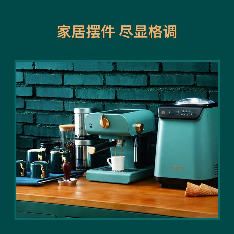 柏翠 (petrus)咖啡机 意式浓缩咖啡机家用半自动 20bar泵压式打奶泡机 PE3320