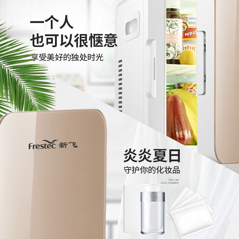 新飛（frestec）車(chē)載冰箱8L迷你母乳冰箱小型家用宿舍化妝品美妝冰箱便攜式車(chē)家兩用制冷暖恒溫箱