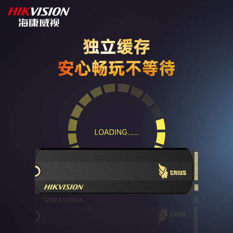 海康威视（HIKVISION）2TB SSD固态硬盘 M.2接口(NVMe协议) C2000Pro系列 10年质保