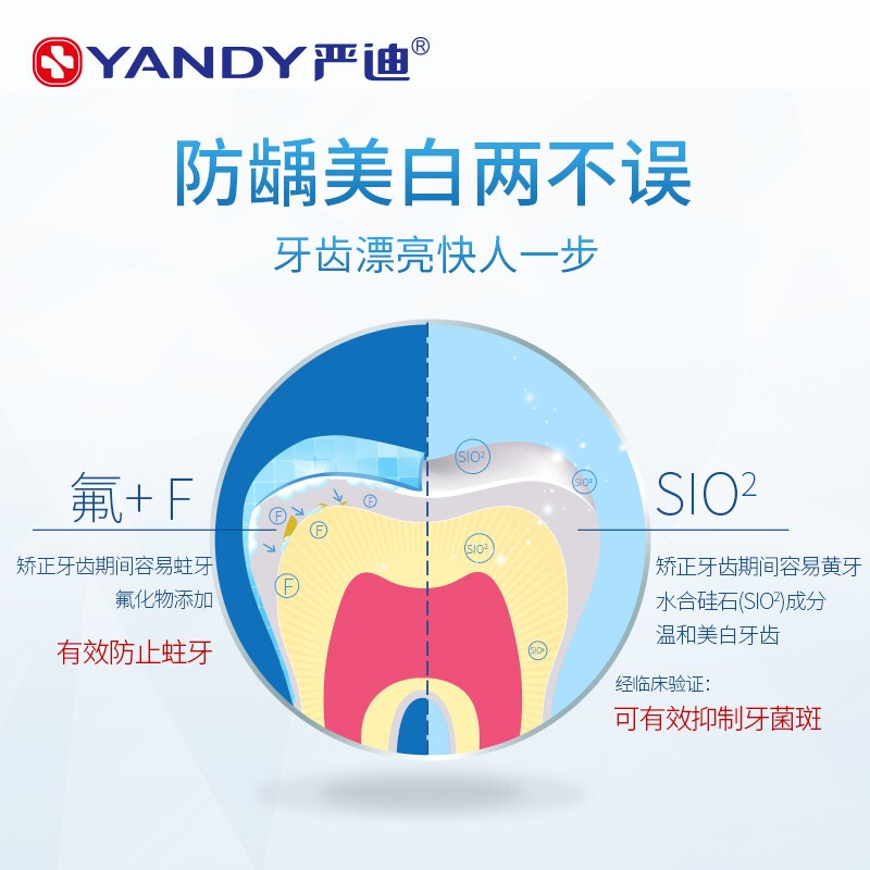 严迪（YANDY） 美白牙膏 正畸适用牙膏 110g  含氟 美白牙齿 预防蛀牙 保护牙齿矫正适用牙膏 抑制牙菌斑 