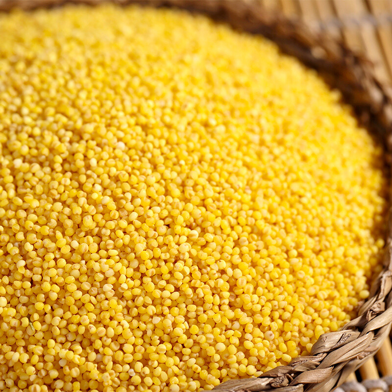 盘点裕道府 金苗黄小米(小米粥 杂粮 月子米 粥米 粗粮 真空装)评测