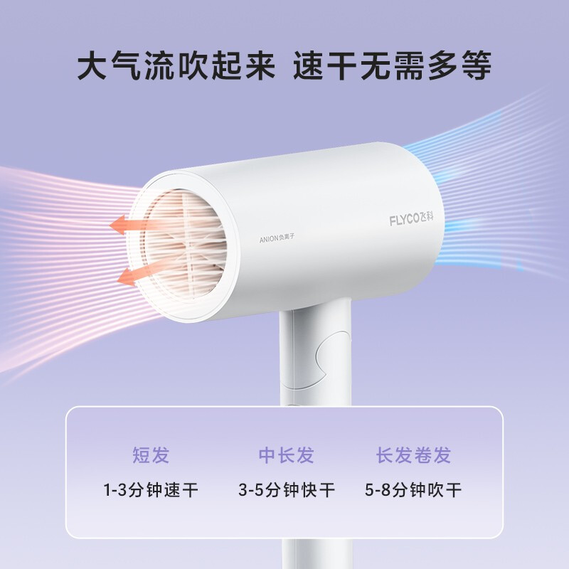 飛科 FLYCO 電吹風(fēng)機(jī)負(fù)離子護(hù)發(fā)家用磁吸集風(fēng)嘴可折疊FH6276 1800W