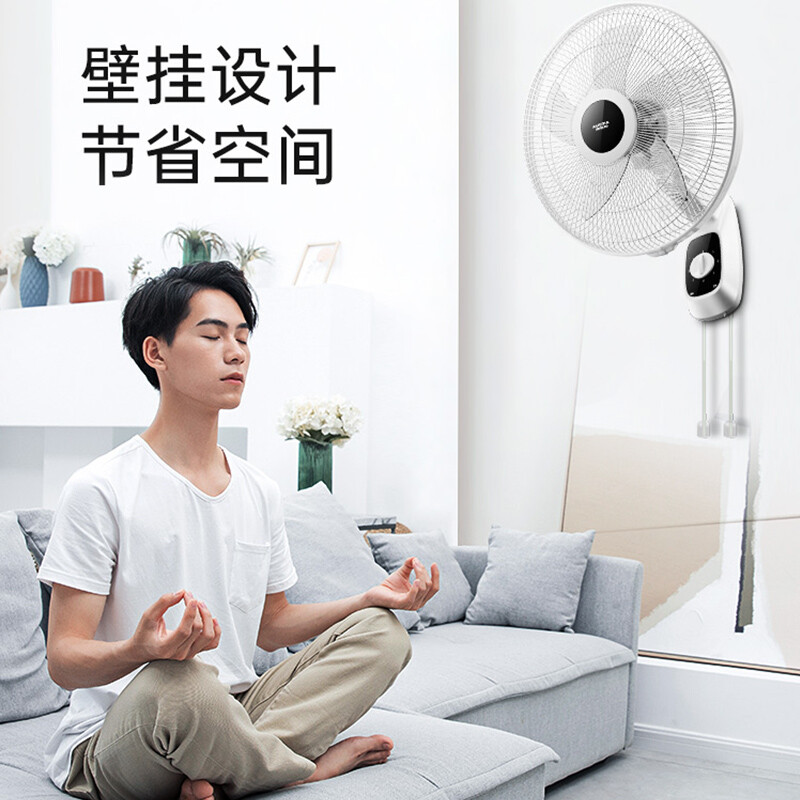 澳柯瑪（AUCMA）16吋家用AS五葉電風(fēng)扇/壁扇/電扇 FB-40ND04