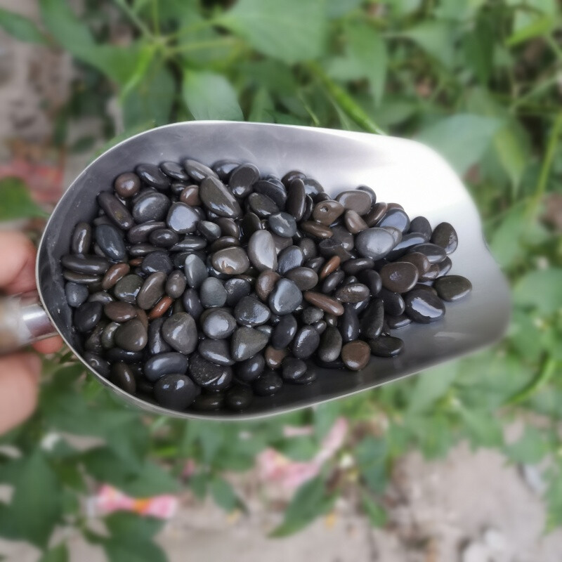 花友天然铁胆沙砂黑工沙鱼缸底砂造景小石子多肉铺面黑工砂园艺造景d7