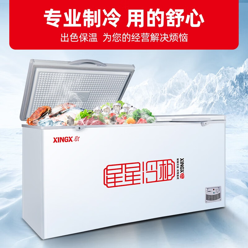 星星（XINGX） 406升 冰柜商用大容积卧式单温冰柜 冷藏冷冻转换冷柜 单箱变温冰箱 BD/BC-406E