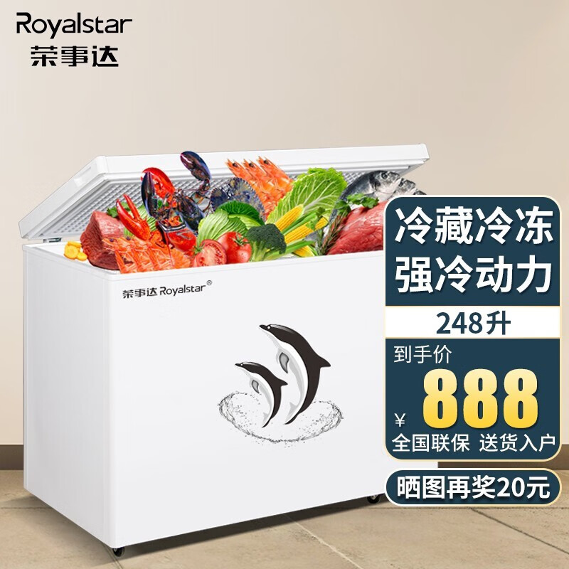 荣事达（Royalstar）大容量冰柜 家用商用冷藏冷冻转换柜单温冰箱 卧式保鲜冷柜 噪音小不费电