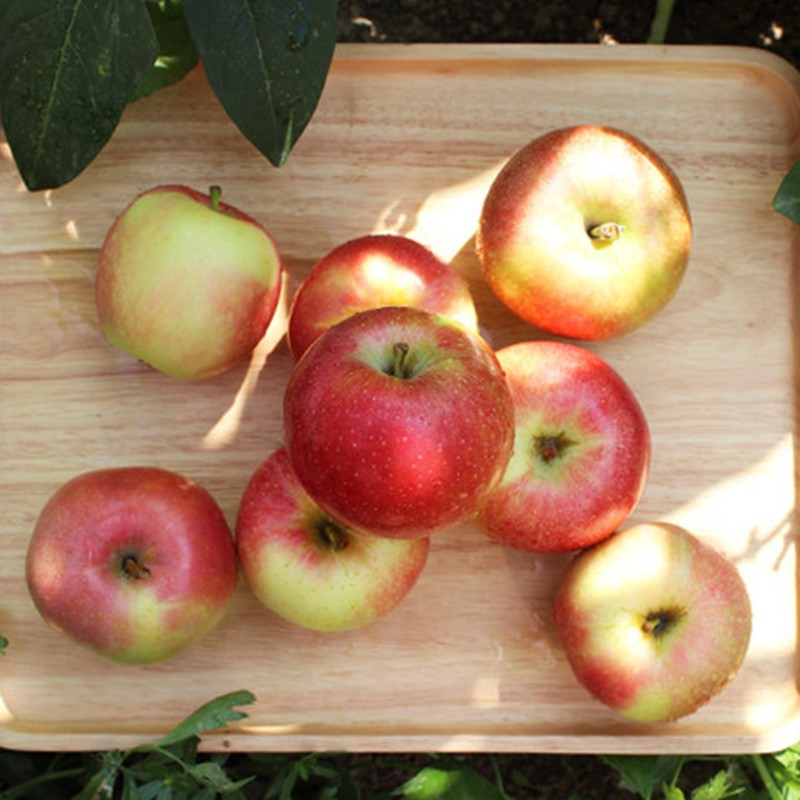 【飞犇生鲜】富士丑苹果 新鲜水果应当季酸甜时令 丑苹果 带箱5斤