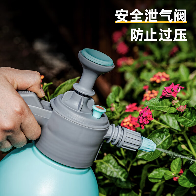 得力（deli）喷水壶喷雾器 家用园林园艺植物浇花喷水壶洒水壶酒精消毒2L 气压式（长短嘴喷头） DL581020