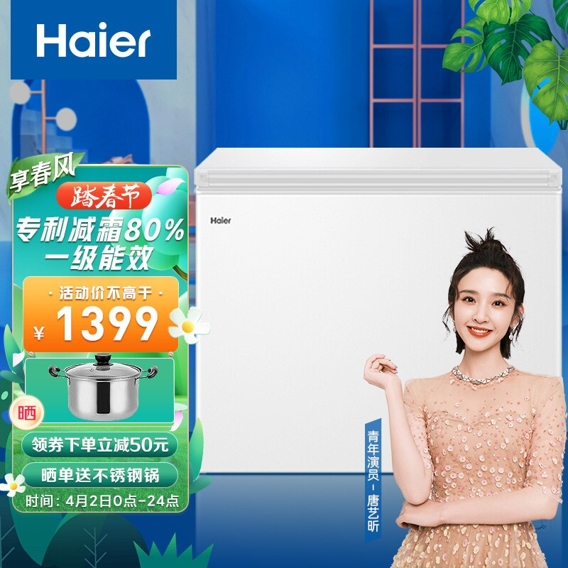 海爾（Haier）251升低霜商用家用冰柜 冷藏冷凍轉(zhuǎn)換節(jié)能冷凍柜冰箱冷柜BC/BD-251HD