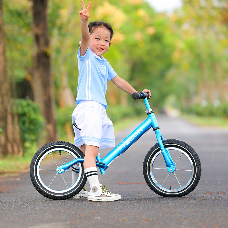 飞鸽 (PIGEON) 儿童平衡车自行车2-5岁滑步车幼儿男女宝宝小孩滑行车两轮无脚踏车童车滑行单车辐条轮冰蓝色