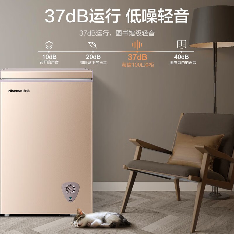 海信 (Hisense) 100升冰柜家用小型 冷冻冷藏转换单温单门冷柜 一级能效减霜母婴母乳保鲜冰箱BD/BC-100NUD