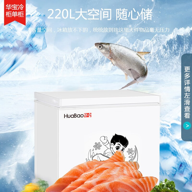华宝 HUABAO 220升家用商用冰柜 冷藏冷冻转换冰箱冷冻柜冷柜