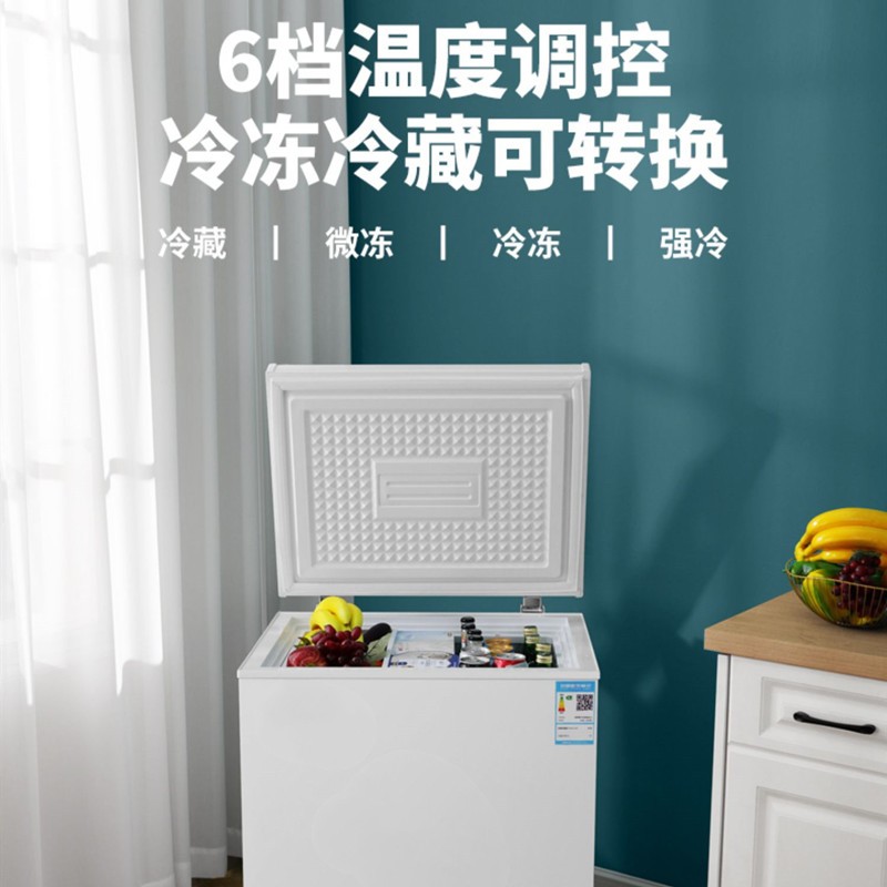 小冰柜迷你冷藏冷冻转换家用节能卧式一级能耗小型变温冷柜永耐力 42升（二级能效）