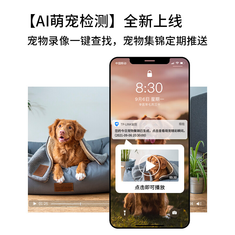 TP-LINK 全彩400万像素升级2.5K超清无线监控摄像头 家用智能网络监控器摄像机 360全景wifi手机远程 IPC44AW