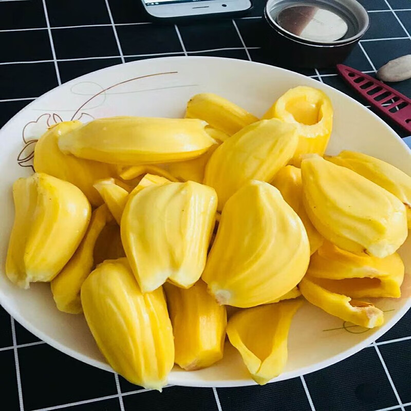 菠萝蜜海南三亚果园当天现摘现发多种规格重量优质黄肉菠萝蜜整个原