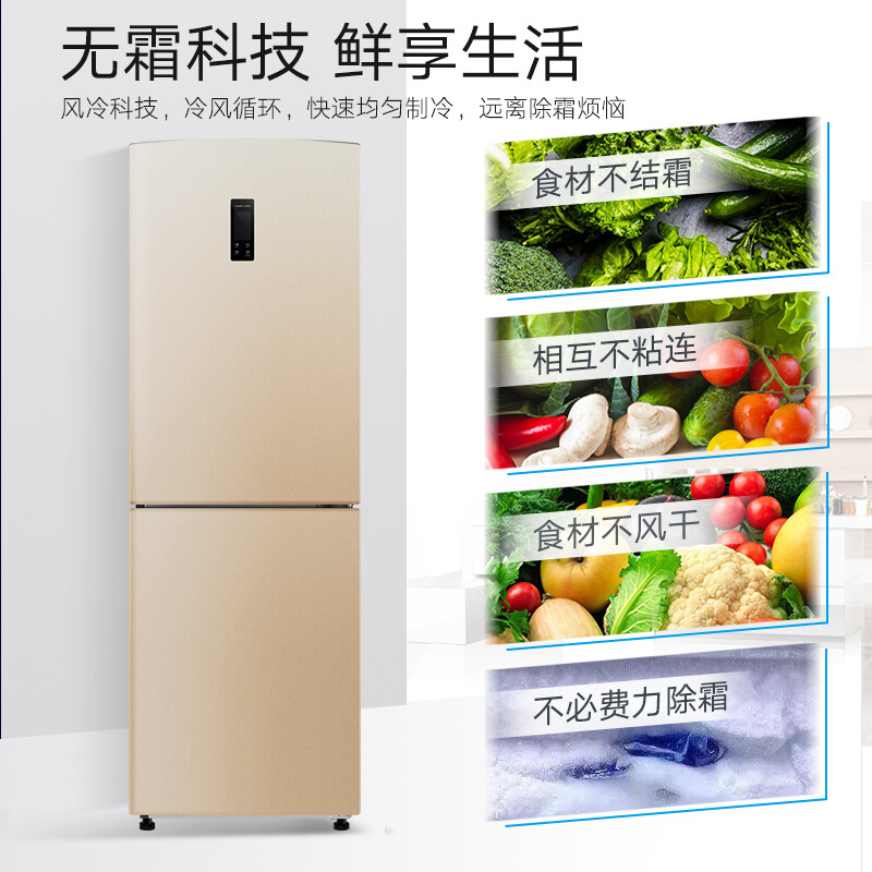 伊莱克斯（Electrolux）253升风冷无霜 双门冰箱 家用电冰箱 大容量 节能静音保鲜 EBE2502TD