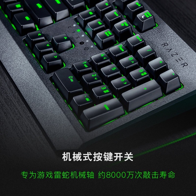 雷蛇（Razer）黑寡妇蜘蛛标准 机械键盘 游戏键盘 办公键盘 电脑键盘 绿轴ABS键帽104键 标准版-104键绿轴绿光