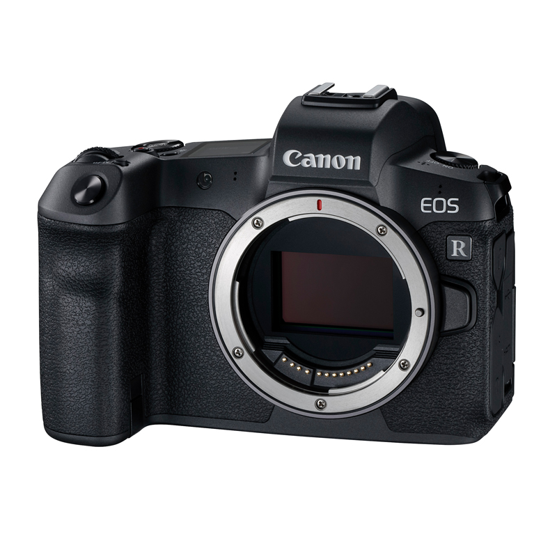 佳能（Canon）EOS R 微单相机 数码相机 微单机身 全画幅专业微单 Vlog相机 视频拍摄