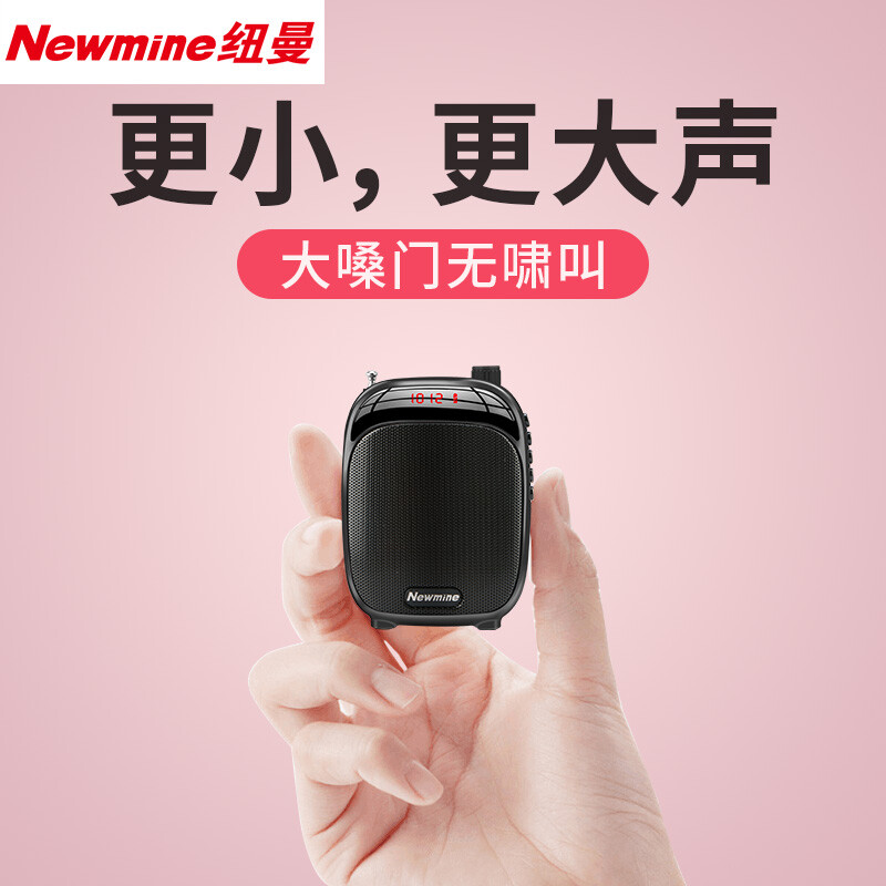 纽曼（Newmine）K30小蜜蜂扩音器教师专用喇叭导游喊话器便携式小音箱收音机教学讲课扩音机 碧玉黑