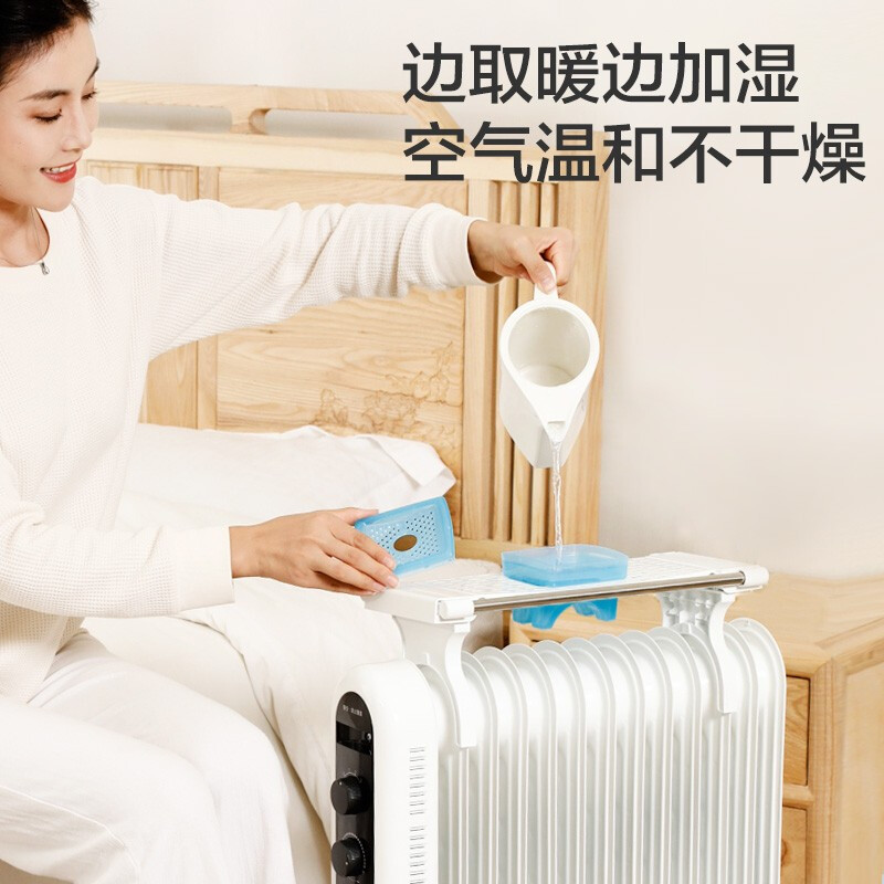 格力（GREE）取暖器電油汀家用電暖器片13片加寬油丁防燙電暖氣片NDY19-X6021 全屋升溫